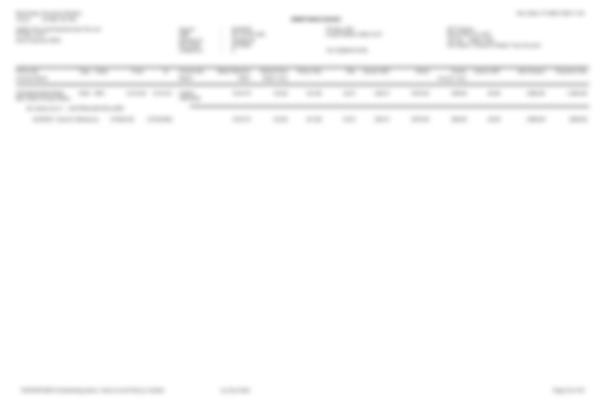 Remittance PDF sample