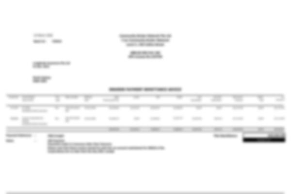 Remittance PDF sample