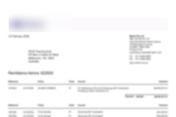 Remittance PDF sample