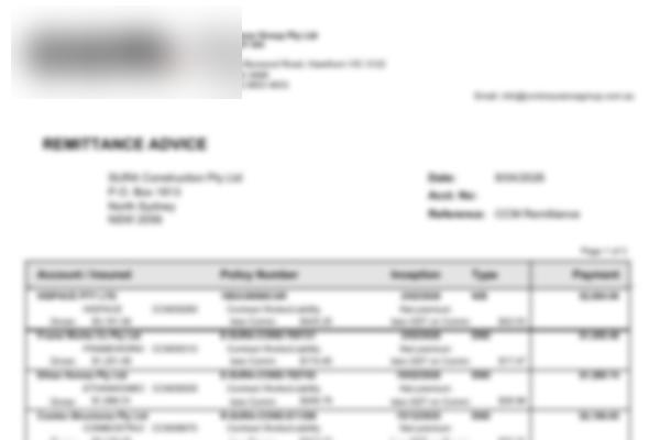 Remittance PDF sample