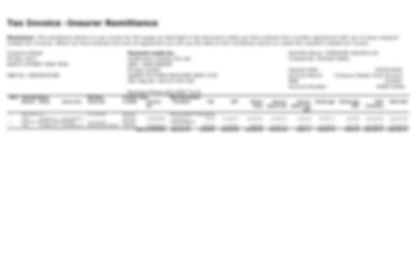 Remittance PDF sample